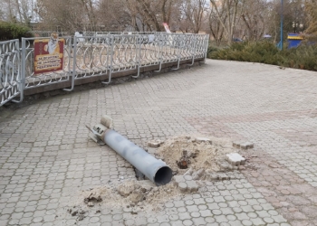 Николаевскому зоопарку тоже досталось от российских «Смерчей» (ФОТО)