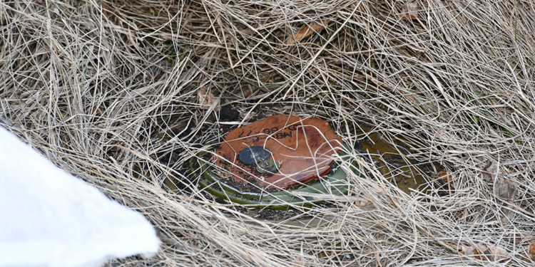 У Миколаєві піротехніки вилучили замасковану у траві протитанкову міну (ФОТО, ВІДЕО)