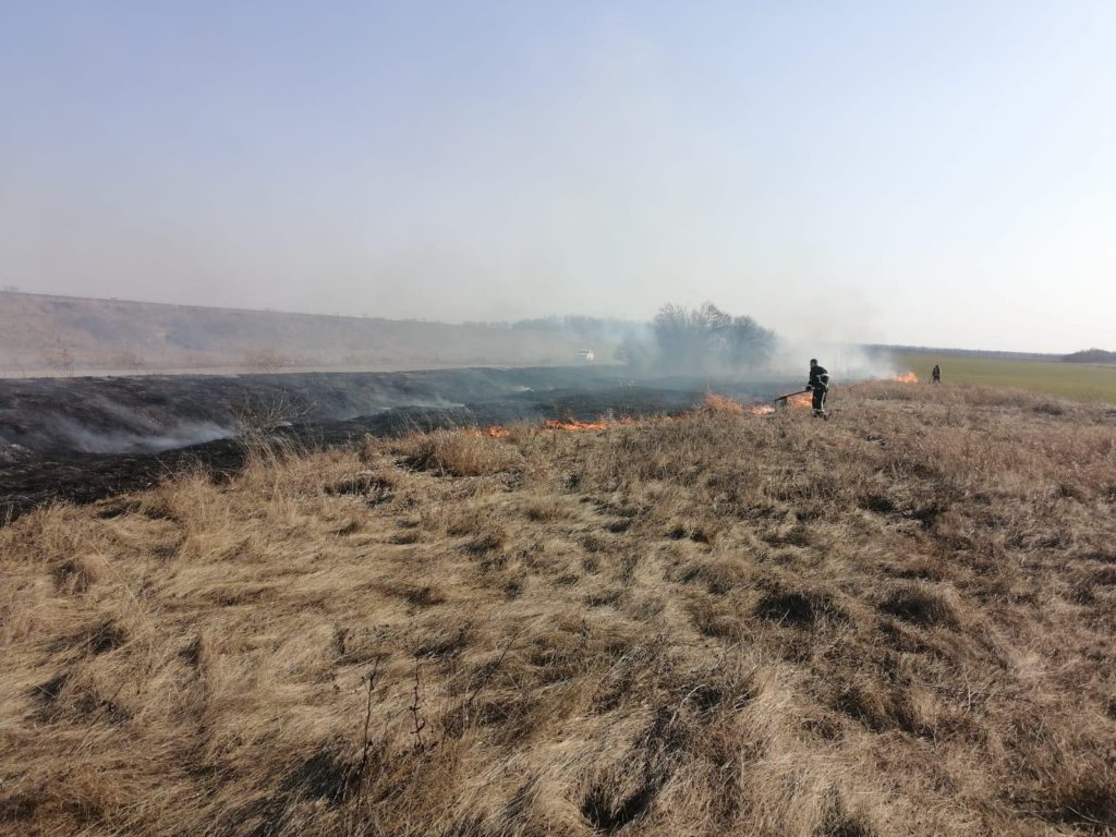 За сутки на Николаевщине потушили 21 пожар, 4 из которых были в результате обстрелов рашистами (ФОТО) 5