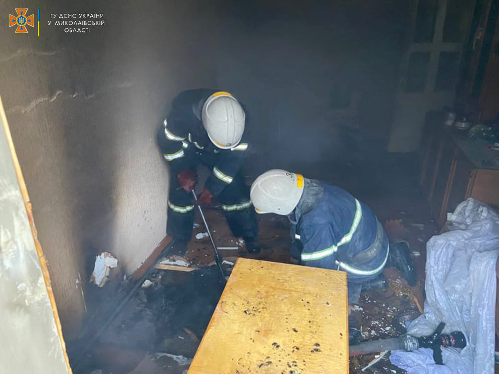 За сутки спасатели Николаевщины потушили 9 пожаров – горело в жилом секторе и в экосистемах (ФОТО) 7
