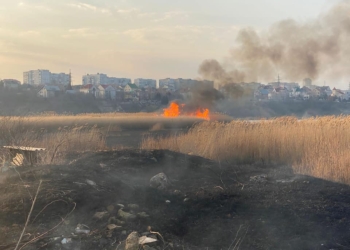 В Ракетном Урочище в Николаеве горевший камыш «поджог» хозпостройку (ФОТО)