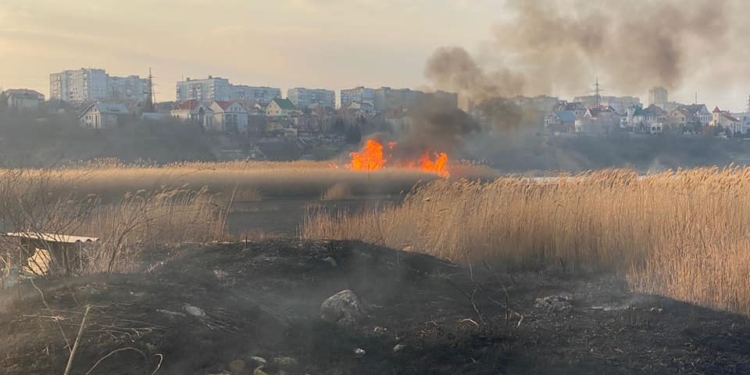 В Ракетном Урочище в Николаеве горевший камыш «поджог» хозпостройку (ФОТО)