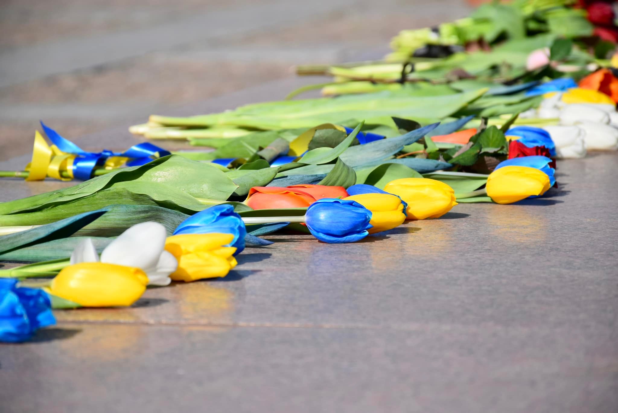 У Миколаєві вшанували пам’ять визволителів міста від німецьких фашистів (ФОТО)