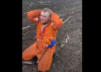 На Николаевщине сбили самолет (ВИДЕО)