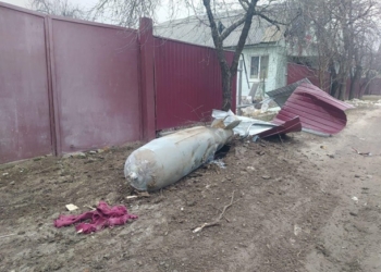 В Черниговской области на месте падения сбитого самолета обнаружили 3 авиабомбы (ФОТО)