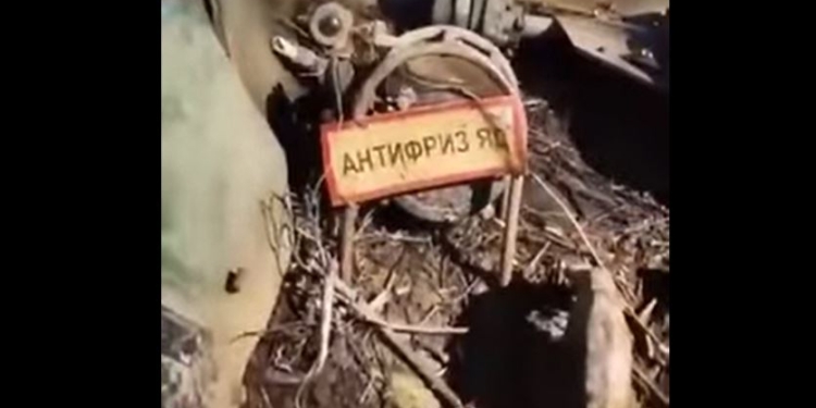 “Антифриз – яд”. Что отличает “самую синюю” армию в мире (ВИДЕО)