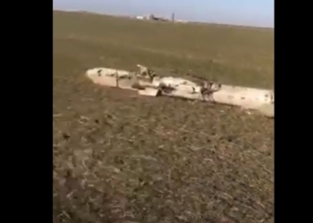 ВСУ за сутки уничтожил 7 самолетов и 2 крылатые ракеты, одну из них – на Николаевщине (ВИДЕО)