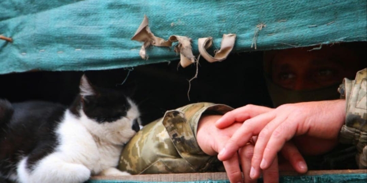 На границе задержали мужчину, которого комиссовали из-за “осложнений при беременности и родах” (ФОТО)