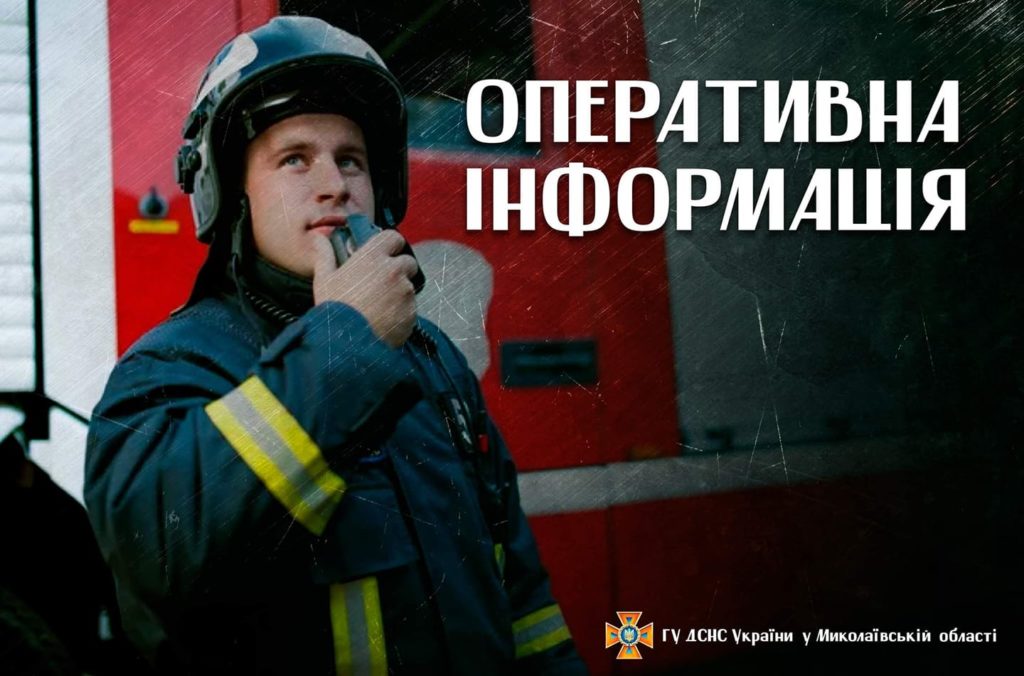 У Миколаєві через необережне поводження з вогнем горіло сміття та сухі дерева на відкритій території 1