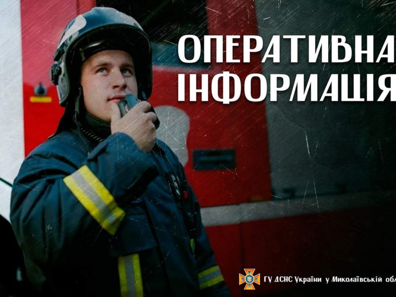 У Миколаєві через необережне поводження з вогнем горіло сміття та сухі дерева на відкритій території
