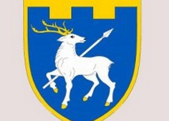 60 городян, що служать у підрозділах територіальної оборони Миколаєва, склали присягу на вірність українському народові
