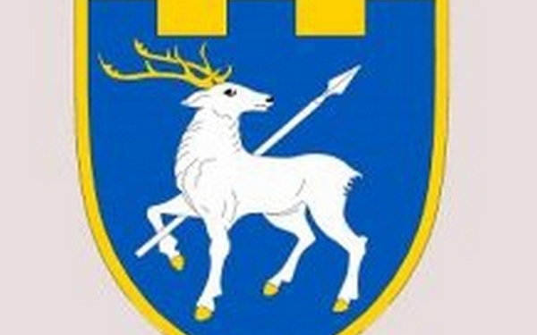 60 городян, що служать у підрозділах територіальної оборони Миколаєва, склали присягу на вірність українському народові