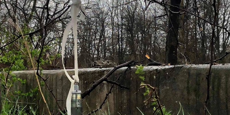 За добу рятувальники Миколаъвщини загасили 7 пожеж та вилучили 42 рашистських боєприпаси (ФОТО)