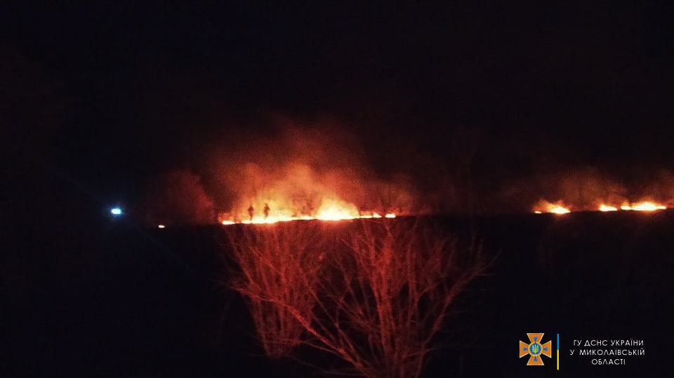 11 пожаров и одно ДТП – сводка от спасателей Николаевщины за сутки (ФОТО) 13