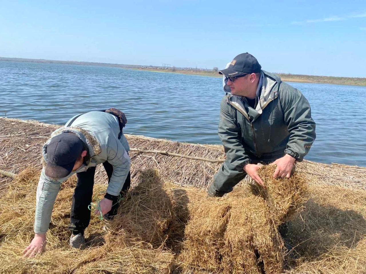 Наче і нема війни: в РЛП «Тилігульський» на Миколаївщині накрили штучні острови для птахів сіном (ФОТО)