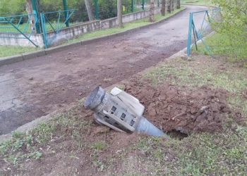 Миколаївський зоопарк знов потрапив під обстріл окупантів (ФОТО)