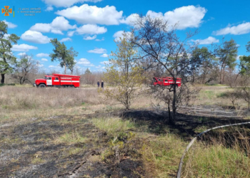 Через обстріли зайнялась відкрита територія поблизу Миколаєва – рятувальники загасили