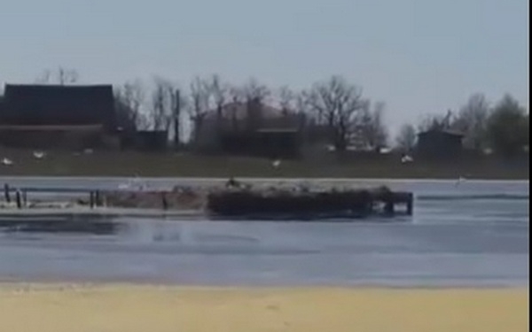 Наче і нема війни: на Кінбурні птахи заселяють «хостели» (ВІДЕО)