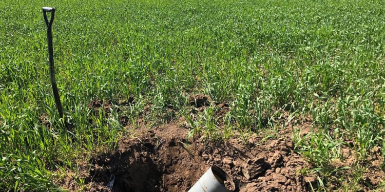 За сьогодні піротехніки ДСНС вилучили на Миколаївщині 8 рашистських боєприпасів (ФОТО)