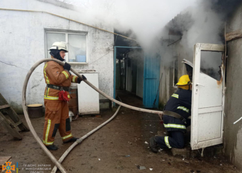 У Веселиновому рятувальники загасили пожежу лазні