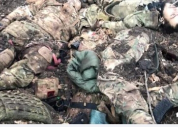 ВСУ в районе Попасной уничтожили группу ливийских наемников (ФОТО 18+)