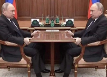 Встреча Путина и Шойгу – появились мемы и жабы, не обошлось без Кима (ФОТО)