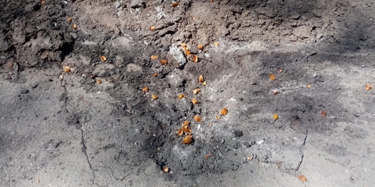 Вранці Миколаїв обстріляли зі «Смерчів», по Очакову нанесено кілька ракетних ударів, поранено одну людину (ФОТО)