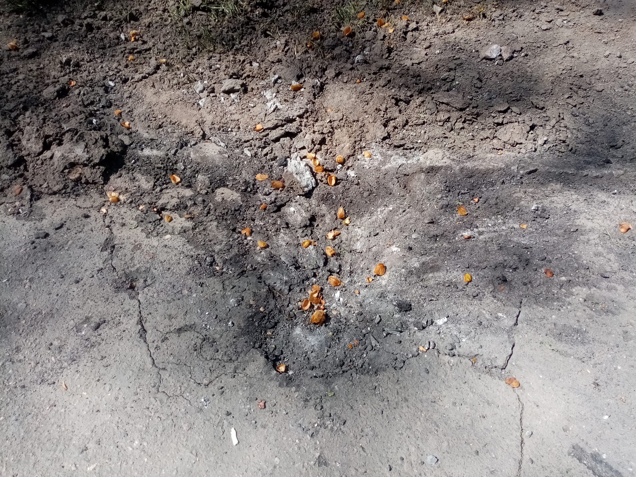 Вранці Миколаїв обстріляли зі «Смерчів», по Очакову нанесено кілька ракетних ударів, поранено одну людину (ФОТО)