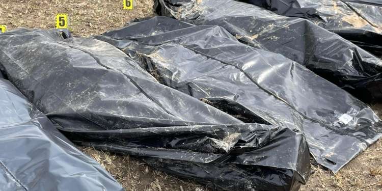 У Бучі почалась ексгумація тіл закатованих росіянами з «братської могили» біля церкви (ФОТО)