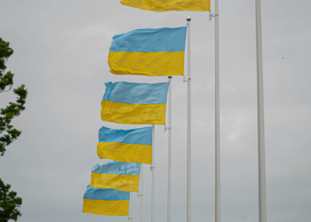 Замість Алеї Дружби: у Миколаєві відкрили Алею Слави (ФОТО)