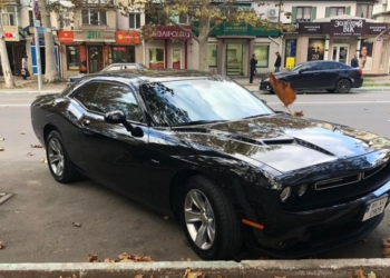 Бизнесмен обещал отдать свой любимый Dodge Challenger тому, кто потопит крейсер “Москва”. Вчера отдал (ФОТО, ВИДЕО)