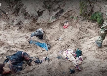 Жуть под Киевом. Страшные кадры для Гааги (ВИДЕО)