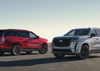 За 8 дней отмены таможенных пошлин в Украину ввезли десятки BMW X5, Mercedes-Benz S-Class, Audi Q7 2022 года выпуска и даже Cadillac Escalade – “для нужд ВСУ”