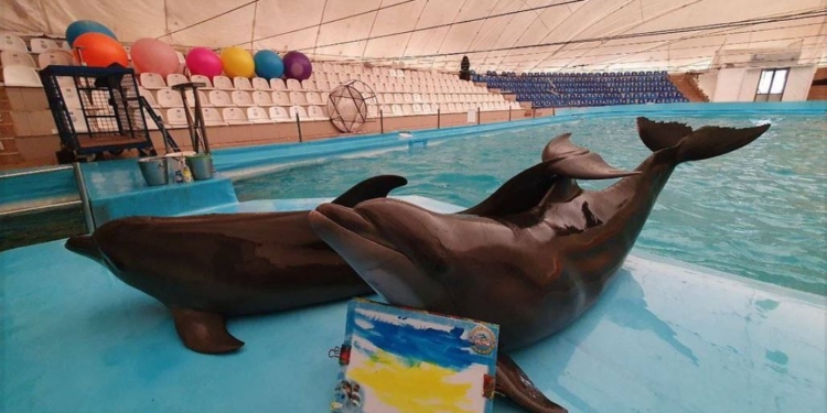 Дельфинарий переехал. Дельфины, морские котики и львы из Харькова уже в Одессе (ФОТО, ВИДЕО)