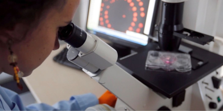 Кыргыстан отказался от предложения рф построить на его его территории биолабораторию