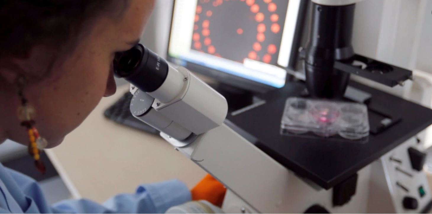 Кыргыстан отказался от предложения рф построить на его его территории биолабораторию