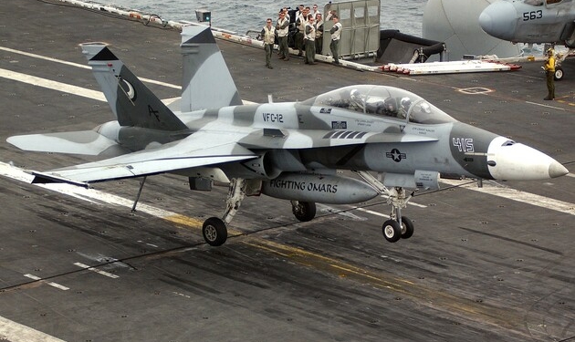 В Польшу прибыла эскадрилья американских “Шершней”