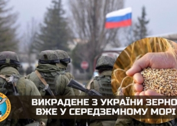 Викрадене росіянами українське зерно вже в Середземному морі