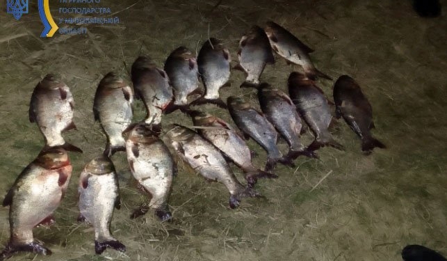 14 сіток, 9 ятерів і 2 браконьєри – «улов» Миколаївського рибоохоронного патруля за вчора (ФОТО)