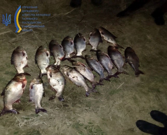 14 сіток, 9 ятерів і 2 браконьєри – «улов» Миколаївського рибоохоронного патруля за вчора (ФОТО) 1