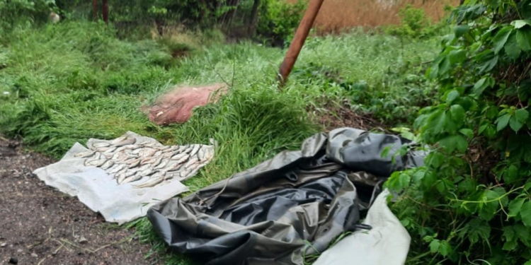 У Миколаєві рибоохоронний патруль упіймав браконьєра з сіткою та 6 кг риби (ФОТО)