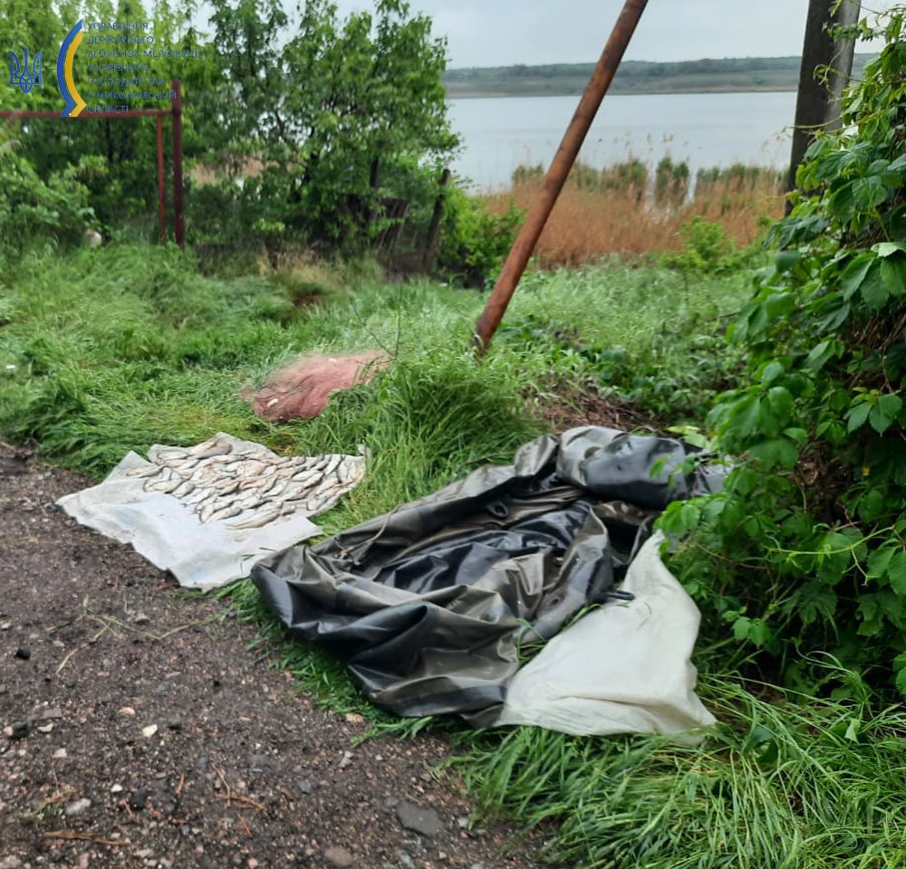 У Миколаєві рибоохоронний патруль упіймав браконьєра з сіткою та 6 кг риби (ФОТО) 1