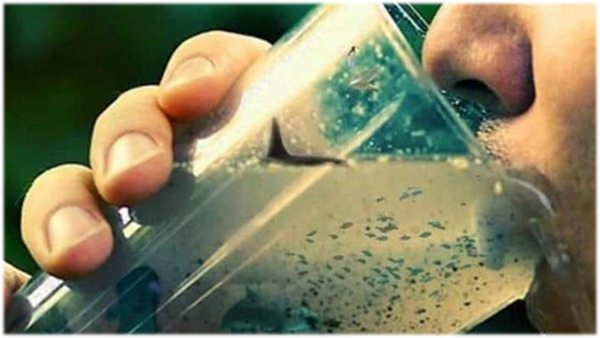 ВООЗ попередила про можливість поширення холери в окупованому Маріуполі