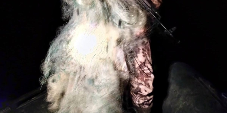 400 м сіток і один браконьєр – «улов» Миколаївського рибоохоронного патруля за 2 дні (ВІДЕО)