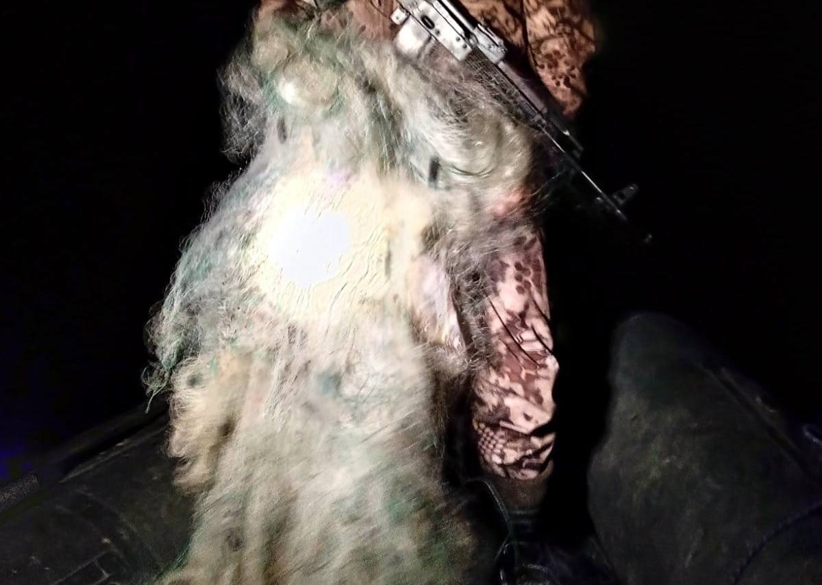 400 м сіток і один браконьєр – «улов» Миколаївського рибоохоронного патруля за 2 дні (ВІДЕО)