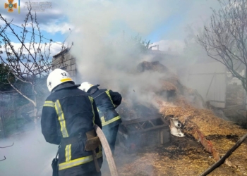 За добу на Миколаївщині було 6 пожеж – на одній загинув 32-річний чоловік (ФОТО)