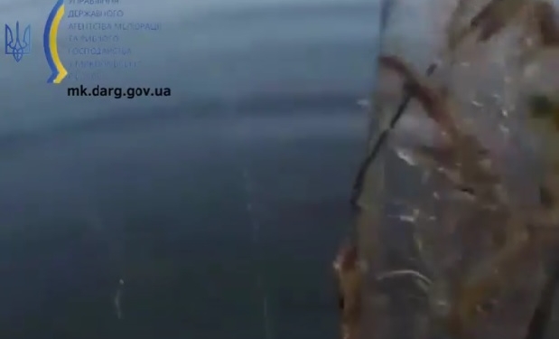 На Гнилому Єланці Миколаївський рибоохоронний патруль вилучив 200 метрів сіток та пакет із тільки що пійманою рибою