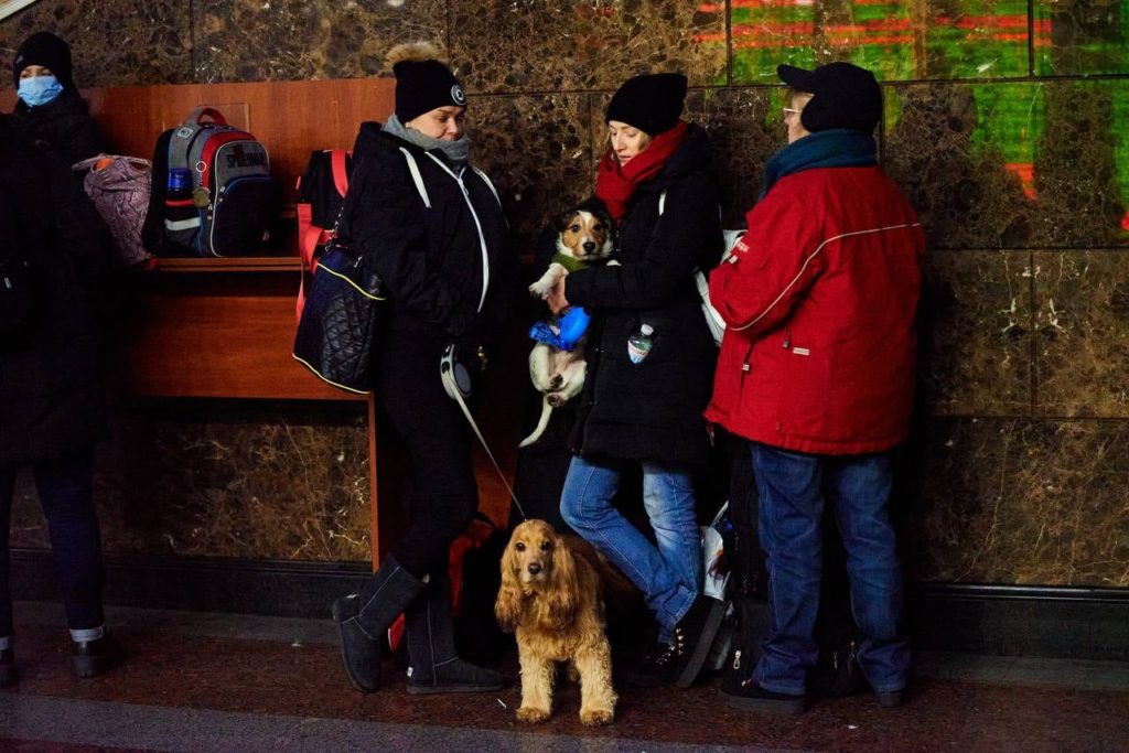 Не кинули друзів: потягами Укрзалізниці вже було евакуйовано більше 100 тисяч тварин, і це не тільки коти і собаки (ФОТО) 1