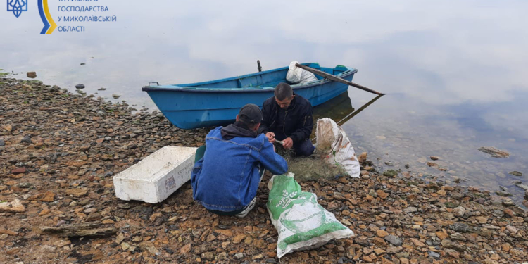 У Миколаєві піймали браконьєрів з 25 кг риби (ФОТО)