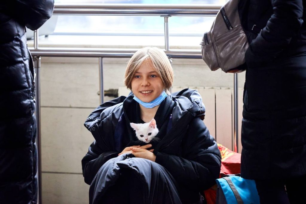 Не кинули друзів: потягами Укрзалізниці вже було евакуйовано більше 100 тисяч тварин, і це не тільки коти і собаки (ФОТО) 3